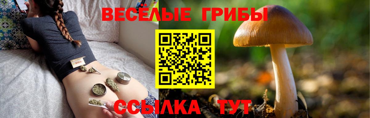 Псилоцибиновые грибы Psilocybe  Псилоцибиновые грибы Cubensis  Уварово  Вход с VPN 